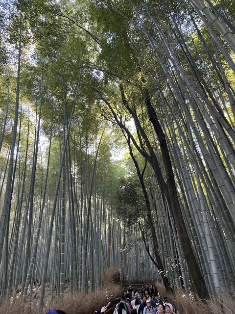 Image - 2025-11-17T164732.876